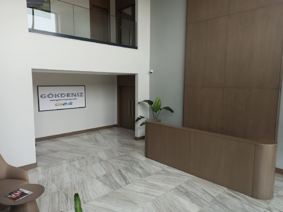 Ofis Mobilya Dekorasyon